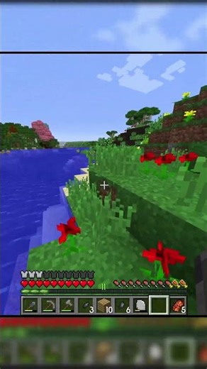 Don't Make Fun of Me