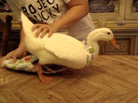 Dino Ducky Diapers: How to dress your duck.
