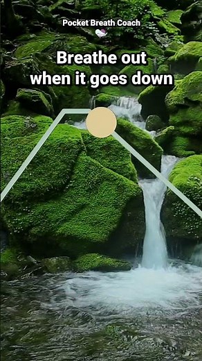 Deep Breathing Exercises to Lower Blood Pressure (4-1-6-1 Guided Breath for Hypertension Relief)