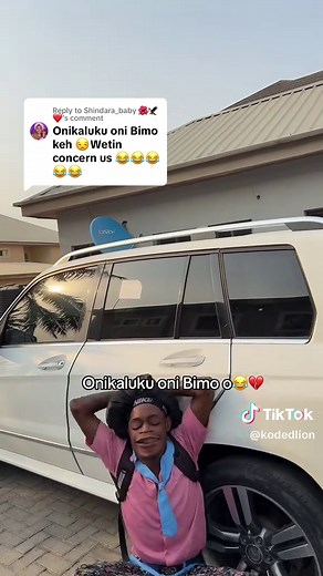 Understanding Lion Behavior in the Jungle