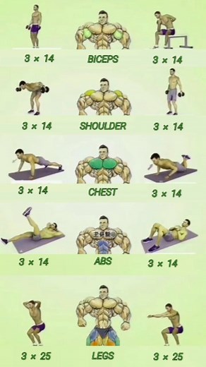 13K reactions · 2.2K shares | Biceps Shoulder Chest Abs And Legs Workout | #biceps #shoulder #chest #abs #workout #Fitnessmotivation #instareels #facebookreels  https://youtube.com/@m.rdeepakfitness | Deepak Fitness | Facebook