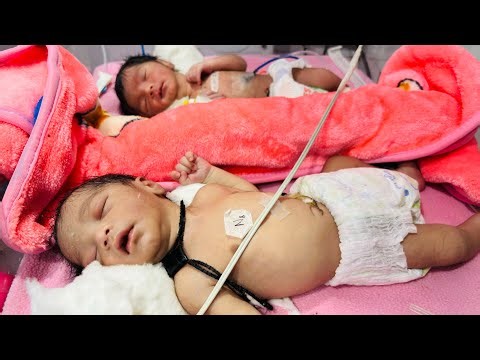 Twin Newborn Babies in the NICU | Precious Twins Receiving Hospital Care #twinbabies #twins