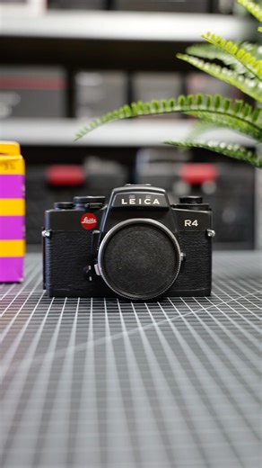 Leica R4 analoge film camera cleaning and using #leica #camera #cameragear