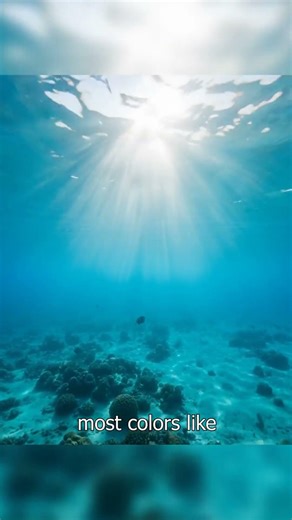 Why does the ocean look blue? 🌊🤔 #funfacts