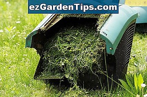 Qu'est-ce que le compost liquide? 🌱 Conseils Jardiniers - Fr.ezGardenTips.com