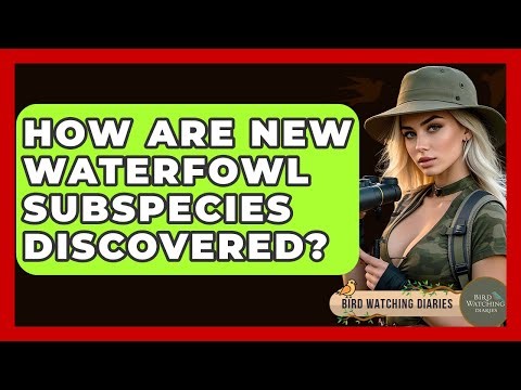 How Are New Waterfowl Subspecies Discovered? - Bird Watching Diaries