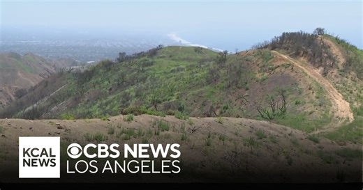 ATF explains controlled fire test aimed at finding out what started the Palisades Fire