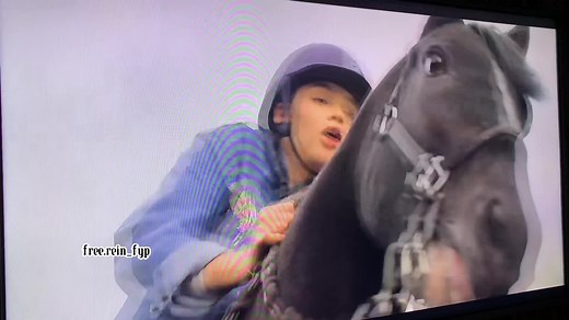 First post! #freerein #fyp #horse #jumping #raven