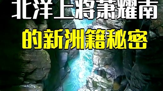 北洋上将萧耀南的新洲籍秘密