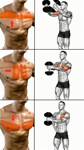 🔥 Dumbbell Chest Fly Variations | Upper, Middle & Lower Chest Workout Tutorial 💪