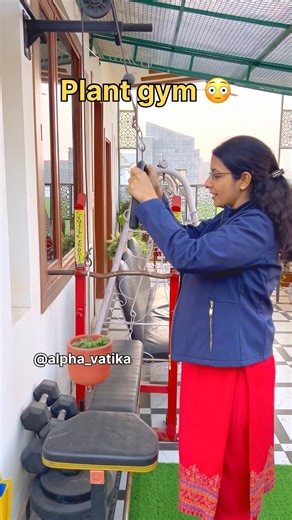 Want to make plsnts strong 💪 ✅ #ytshorts #plants #growth #tips