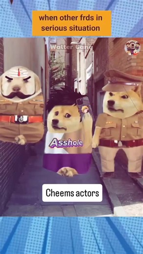 dhanu🍎 on Instagram: "#cheemsislove❤️ #cheemsarmy❤️ #réel #cheemsarmy💛 #charlotte #comedy #independenceday #cheems #tbt #cheems #amigos #tiktok #ilovemydog #seattle #snapshot #offroad #reels #funny #flowers #viralvideos"