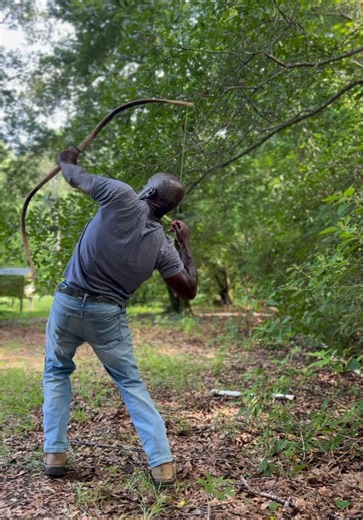 Traditional Archery: Discover the Art of Longbow Shooting
