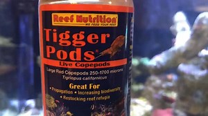 33 reactions · 8 comments | Tigger-Pods make a great live food...