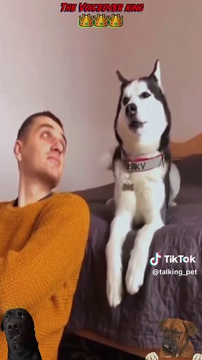 Part 1 : Funny pets Cre 👉🏿 Voiceover genius : @TheRxCKSTxR #dog #voiceover #funnyvideos #pet #foryou