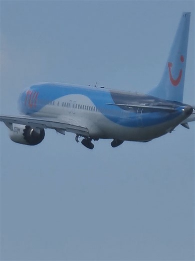 Ollies aviation on TikTok