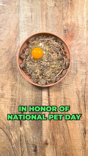 15K views · 188 reactions | Be sure to snag your favorites from Native Pet during their National Pet Day Sale! Running from 4/11 - 4/25  #thebkpets #nativepet #nativepetpartner #ad | The BK Pets | Facebook