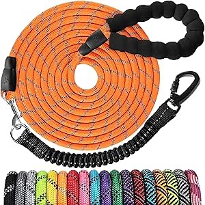 Long Dog Leash 30 FT: Heavy Duty Rope Leashes for Dogs Training with Swivel Lockable Hook Reflective Threads Bungee and Padded Handle - Dog Lead for Large Small Medium Dogs Outside Walking Hiking