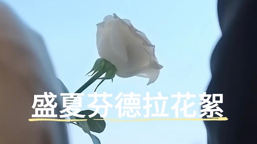 盛夏芬德拉花絮合集