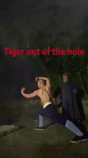 Shaolin Tiger Boxing #kungfu #shaolinkungfu #wushu #shaolinmonks #kungfutechnique #chinesemartialart