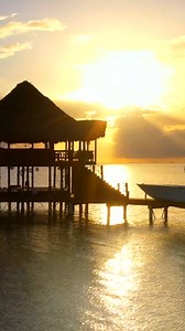 2.9K views | Step from your room to the sea and let every wave become a memory. Discover Jaguar Reef, your Belizean beachfront getaway. Book now. | The Lodge at Jaguar Reef | Facebook