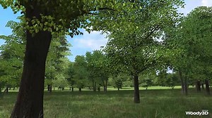 Woody3D Tree System