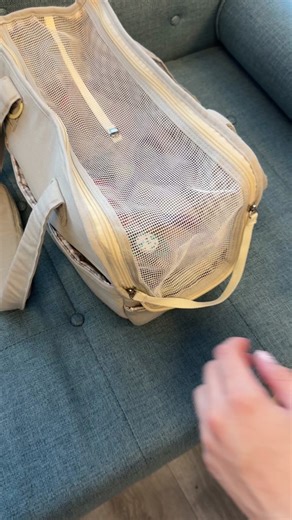 Adorable Micro Teacup Yorkie and Pet Carrier Bag | Cutepets TikTok