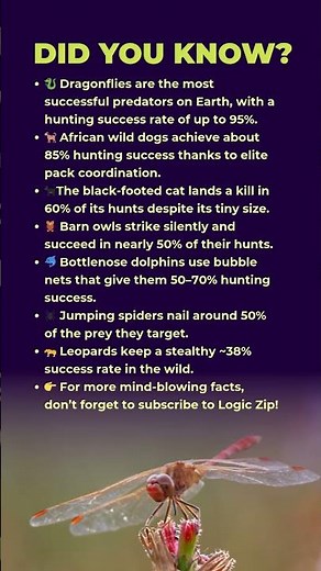 🐉Nature's Most Successful Predators!😲