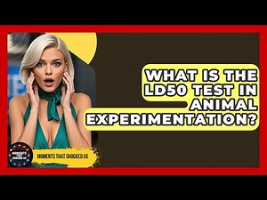 What Is The LD50 Test In Animal Experimentation? - Moments That Shocked Us