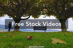 Man Sitting Videos, Download The BEST Free 4k Stock Video Footage & Man Sitting HD Video Clips