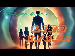 The 7 Stages of Human Life Cycle Explained in Detail