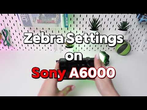 Sony A6000: How to Use Zebra for for Perfect Exposure
