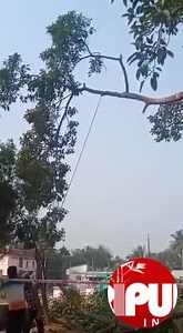 Sinister Biplab Deb led BJP Govt's sins mounting up ! Matabari 150 yrs old Banyan Tree is being cut by Tripura Govt under Biplab Deb’s plan, shops bulldozed in the name of developmental works. TIWN Video Nov 24, 2021 https://www.youtube.com/watch?v=mA8b5GtQdMI | Tripurainfoway