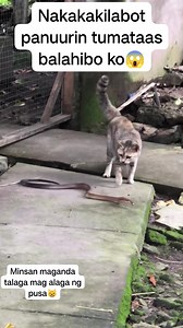 #highlightsシ゚ #follower #cttocredittotherightfulowner | Michael Paraiso Padilla