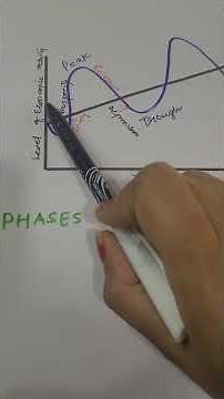Business Cycle- phases of business cycle