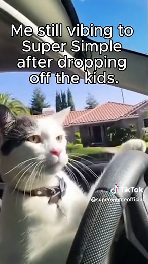 Fun Vibe Songs for Toddlers and Parents | Super Simple Songs