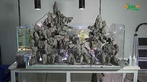 Join us on a step-by-step journey as we transform a bare tank into a stunning paludarium paradise! 🌿💧 Whether you're a beginner or a plant-loving pro, you won't want to miss this build. 👉Learn more: https://www.hygger-online.com/ | Hygger Aquarium