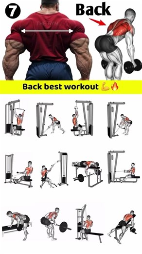 The best exercises for a thicker back ⚡️ #backworkout #gymshorts #musclegain