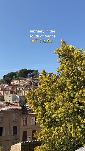Summer in the South of France: A Visual Journey