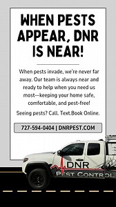 Always near. Always ready. When pests show up, we’re just around the corner with fast, reliable solutions you can trust. Call/text us at 727-594-0404 or book onlne at dnrpest.com for all of your pest control needs. #dnrpest #newportrichey #LocalBusiness #ALWAYSNEAR #pestcontrolexperts | DNR Pest Control | Facebook