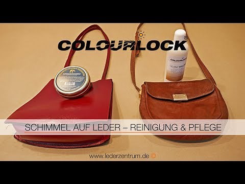 MOLD ON LEATHER