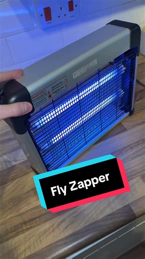 #flys #insects #spring #summer #tiktokmademebuyit