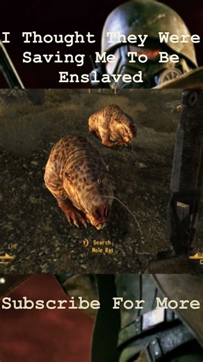 The Legion Saved My Life | Fallout New Vegas PC Gameplay