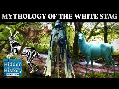 A rare white stag has been seen - what does the sighting mean in history, folklore and mythology?