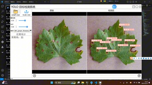 yolov8葡萄病虫害检测 基于YOLOV8的葡萄叶片病虫害检测 基于pyside(pyqt) yolo8的病虫害检测