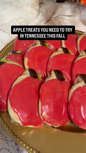Make your fall golden and delicious in Tennessee with these apple treats around the state. Tag your apple-loving bestie below. 📍: @applevalleyorchard – Cleveland 🍎: Fried apple pies, apple fritters, apple turnovers, apple strudel, apple dumplings, apple cider donuts, hot apple cider and slushies, and apple bites 📍: @clumpies - Chattanooga 🍎: Oatmeal apple butter ice cream. Add it to hot apple cider for an indulgent treat 📍: @dutch.maid.bakery – Tracy City 🍎: Apple bread and caramel apple t