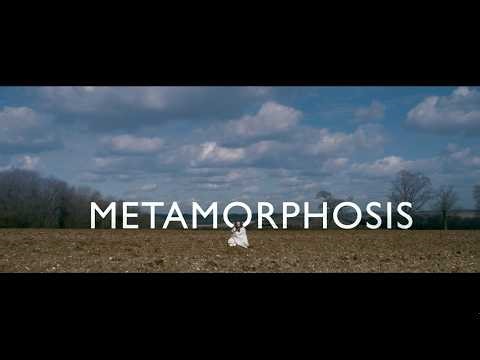 Metamorphosis - Short Movie (directed by Anda Teglas)