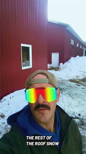 HOW AM I SUPPOSED TO GET HORSES OUT TO THE PADDOCK NOW!?😂😅 #roof #snowfall #shocking #farmlife