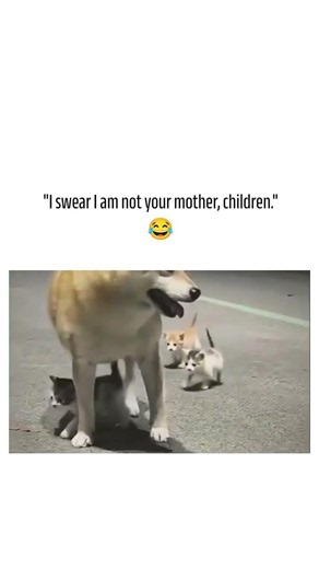 "I swear I am not your mother, children." 😂