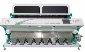 [Hot Item] Areca Nut Sorting Machine Betel Nut Machines